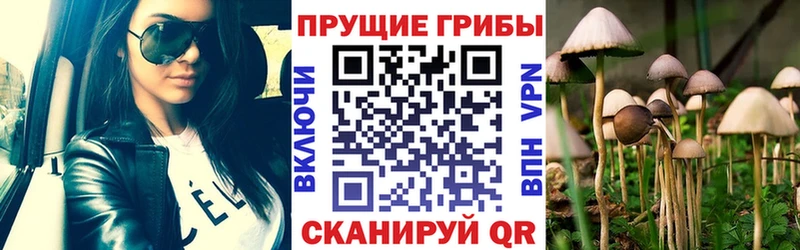 мега зеркало  Новоуральск  Псилоцибиновые грибы прущие грибы  закладки 